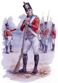 8th Royal Veterans Battalion on parade in Heligoland around 1811