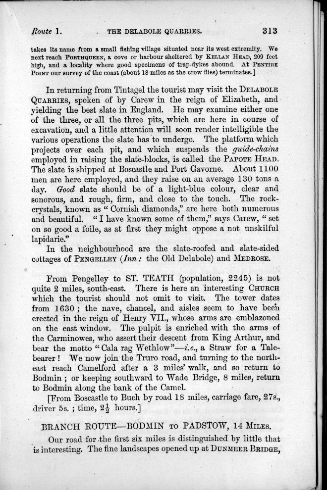 page no. 313