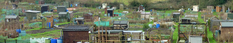 Daggs Allotments, Thornbury